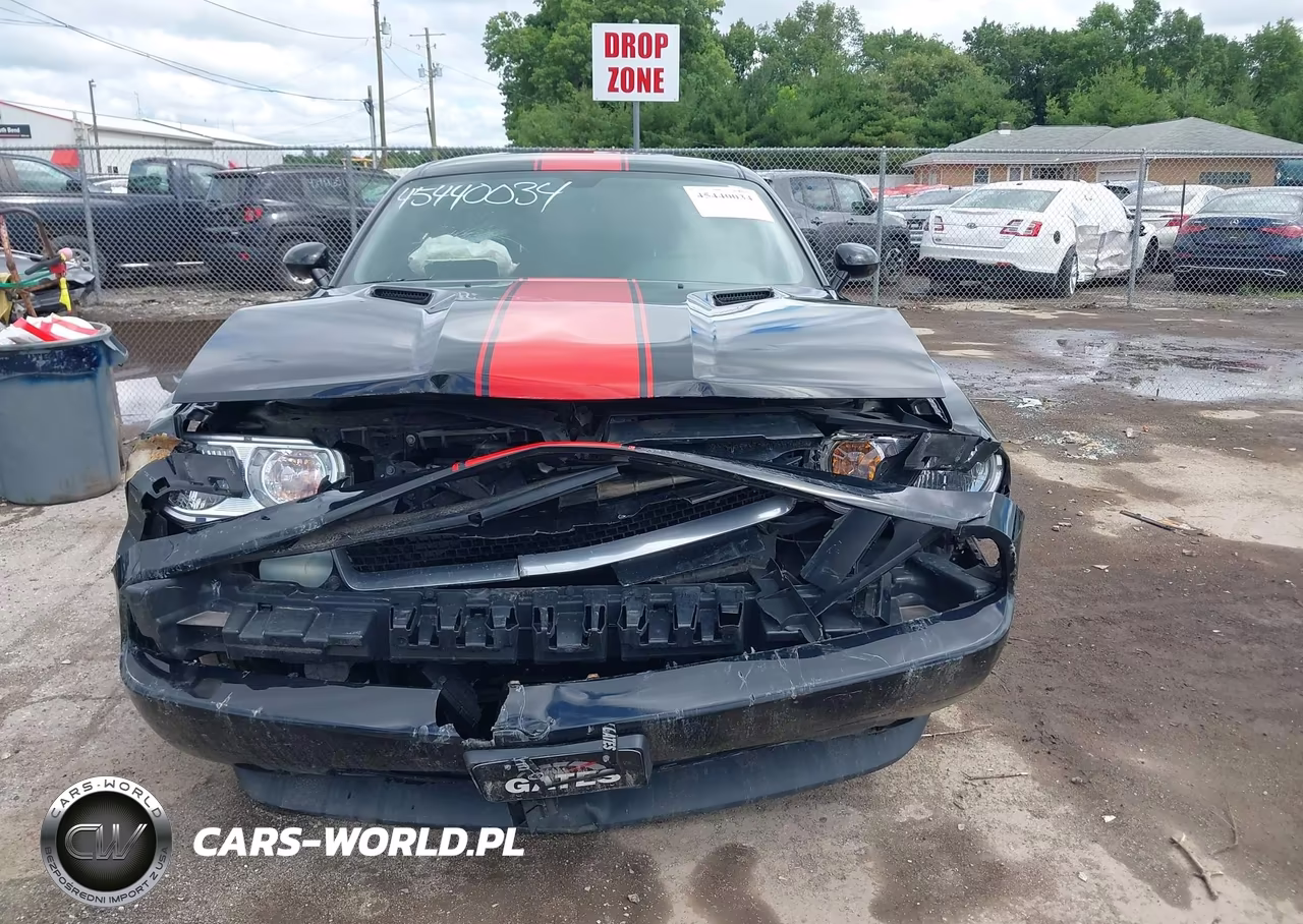 2014 Dodge Challenger Rallye Redline VIN:2C3CDYAG2EH261374 - 12