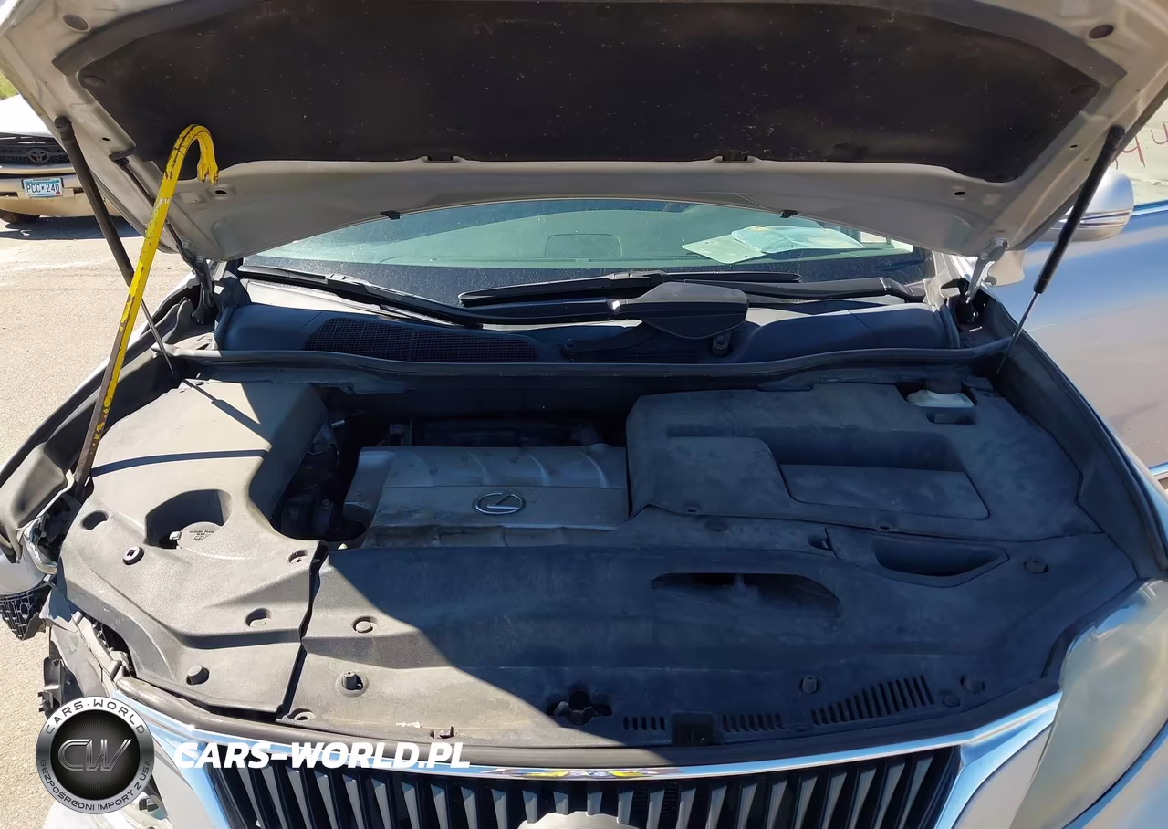 2010 Lexus Rx 350 VIN:2T2BK1BA0AC076979 - 10