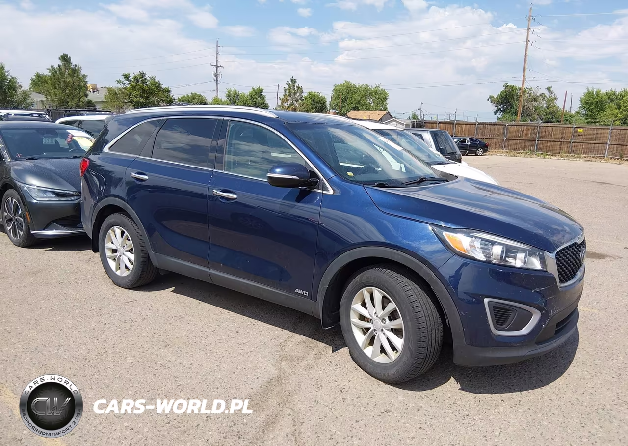 2017 Kia Sorento 2.4L Lx VIN:5XYPGDA31HG334702 - 13