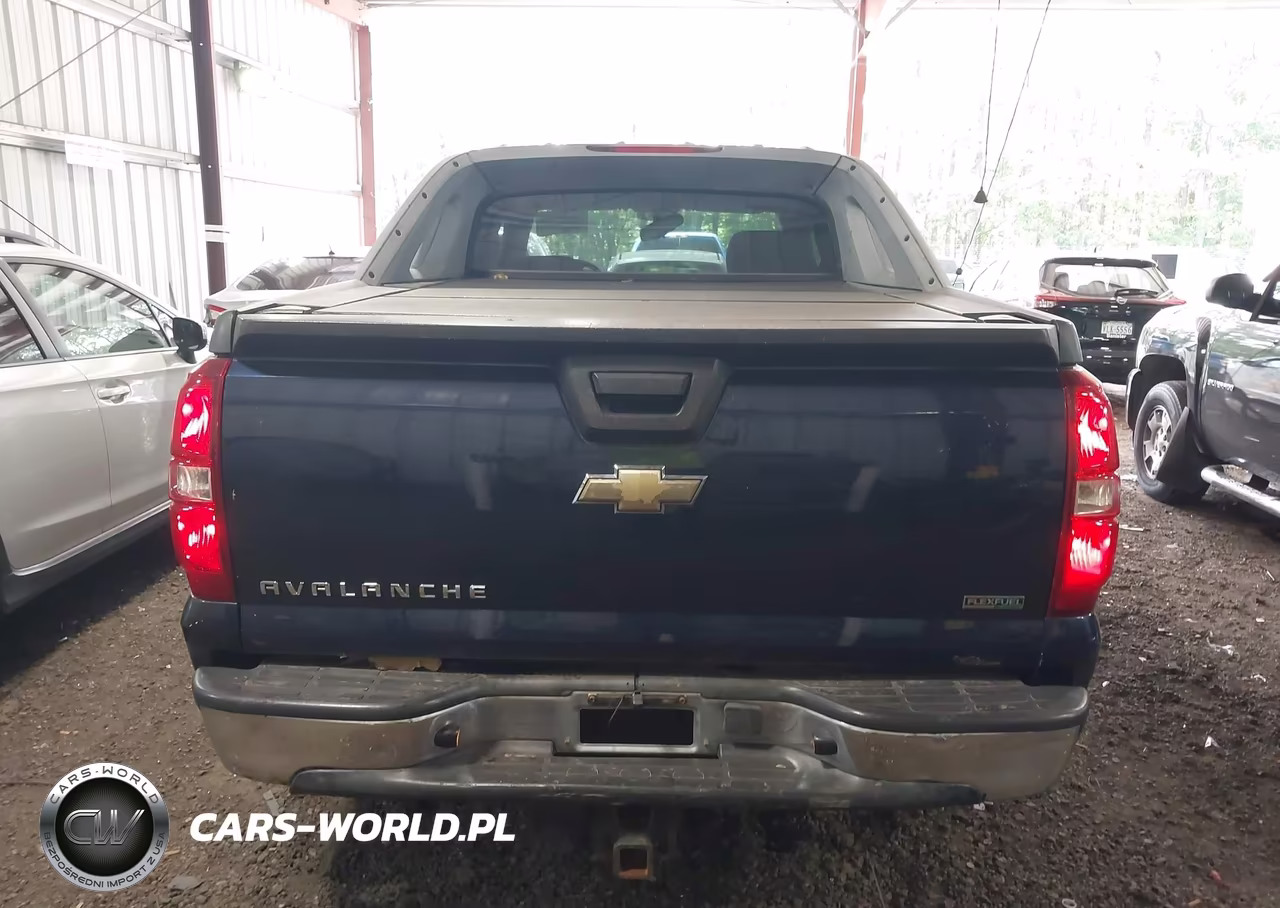 2010 Chevrolet Avalanche 1500 Ls VIN:3GNVKEE00AG298723 - 16