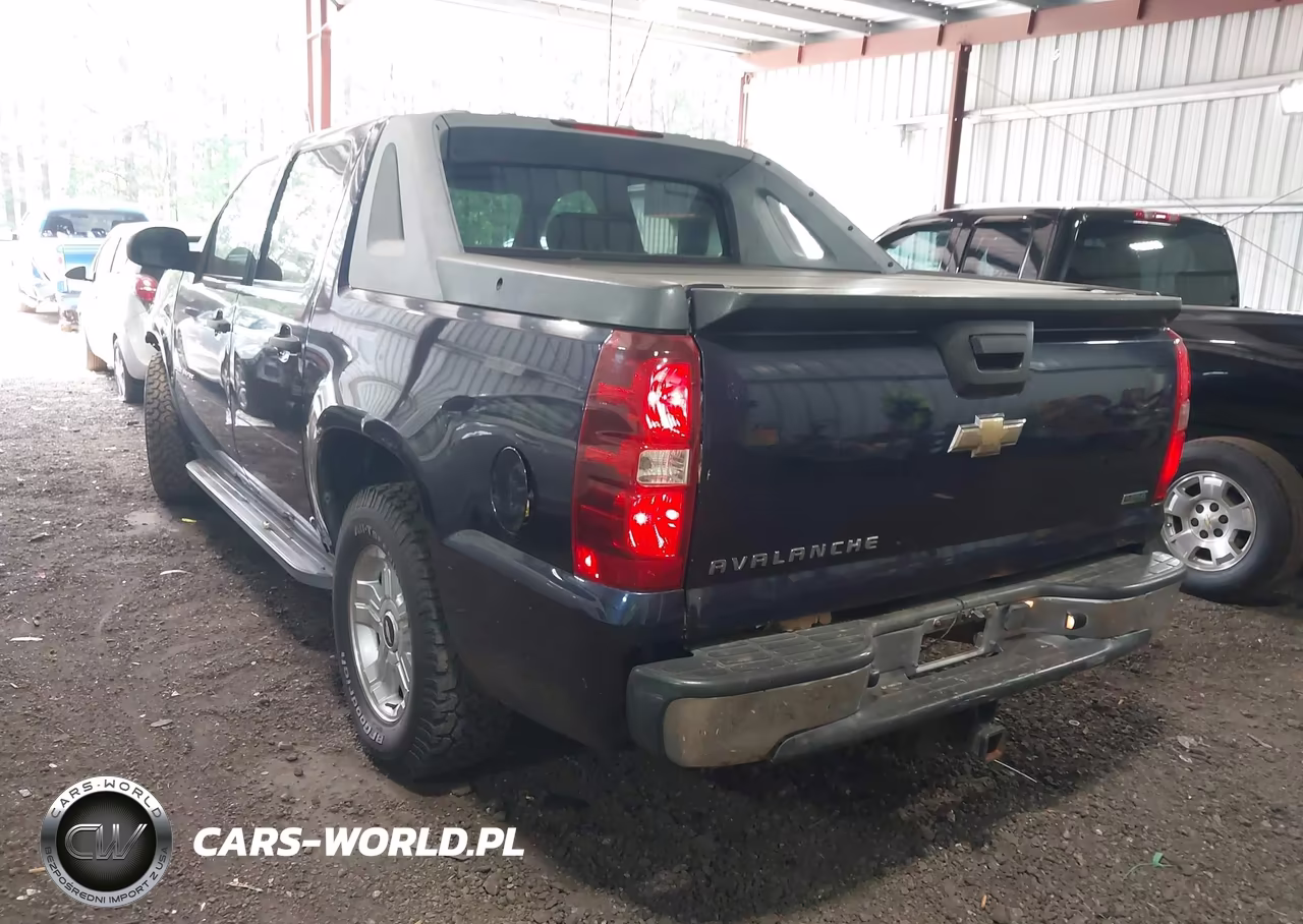 2010 Chevrolet Avalanche 1500 Ls VIN:3GNVKEE00AG298723 - 3