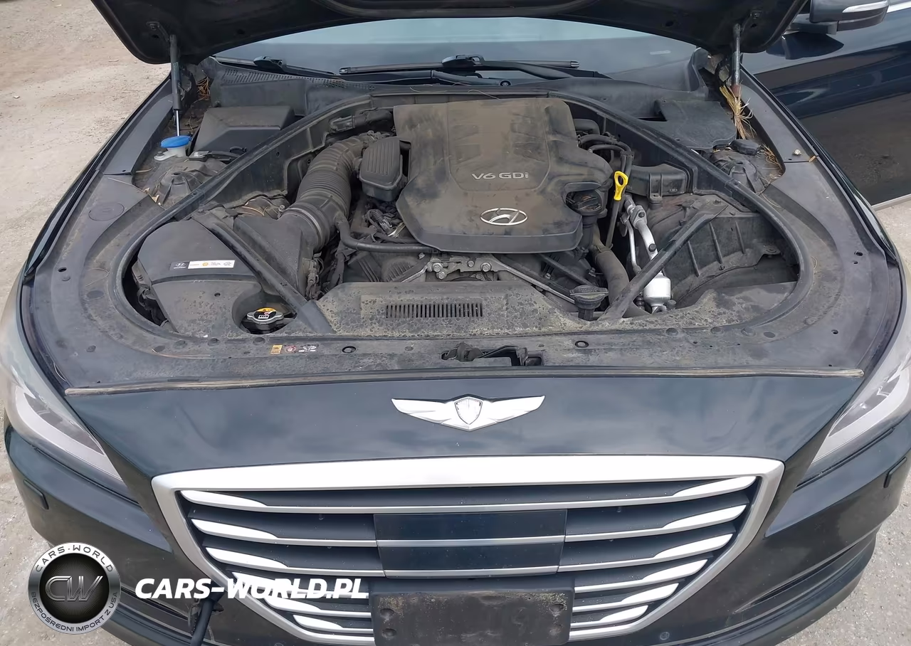 2015 Hyundai Genesis 3.8 VIN:KMHGN4JE2FU016957 - 10