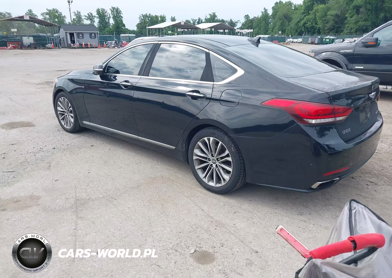 2015 Hyundai Genesis 3.8 VIN:KMHGN4JE2FU016957 - 3
