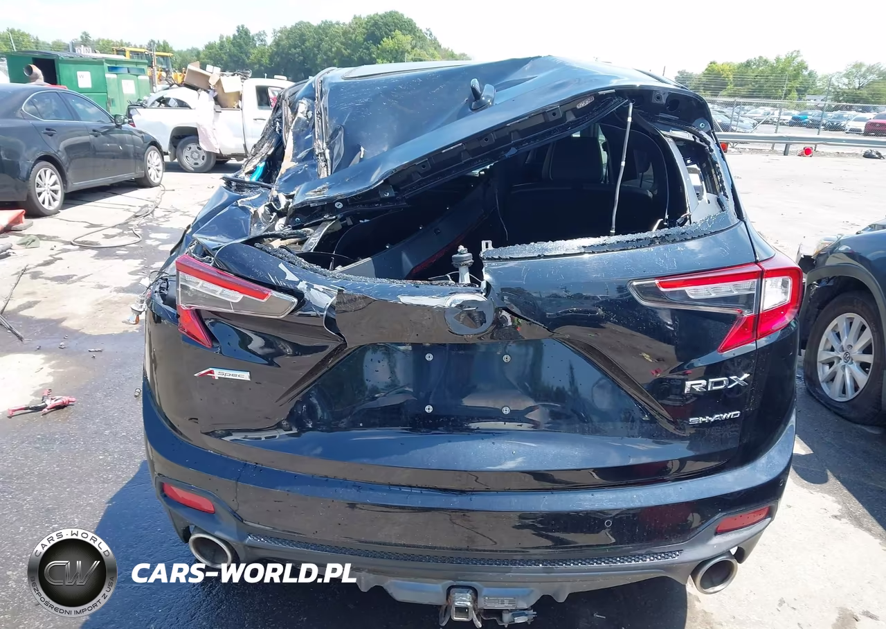 2019 Acura Rdx A-Spec Package VIN:5J8TC2H61KL010242 - 16