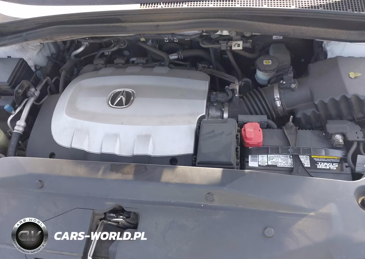 2010 Acura Mdx VIN:2HNYD2H21AH504394 - 10