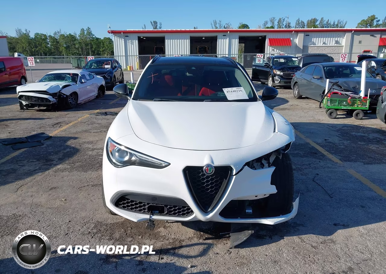 2020 Alfa Romeo Stelvio Rwd VIN:ZASPAJAN7L7C86315 - 13