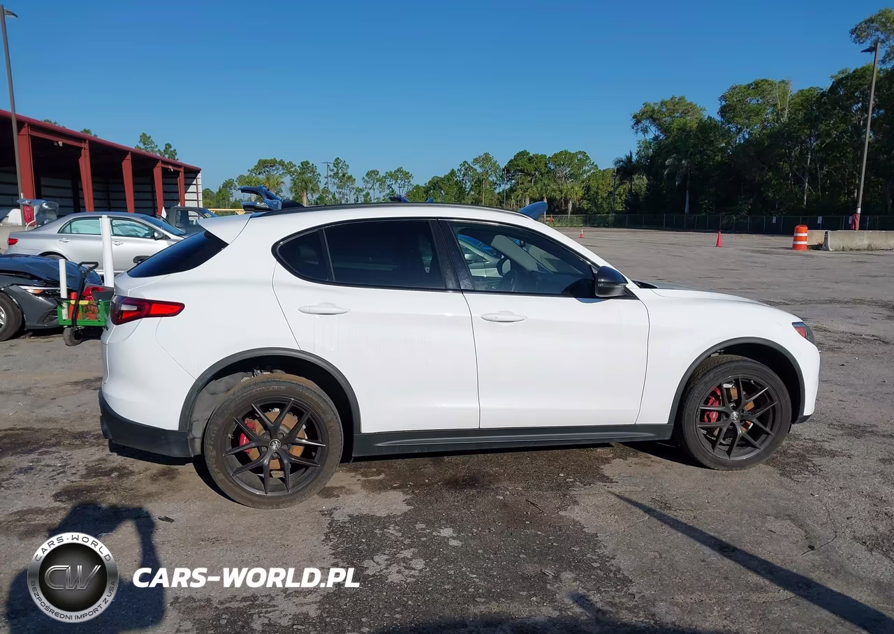 2020 Alfa Romeo Stelvio Rwd VIN:ZASPAJAN7L7C86315 - 14