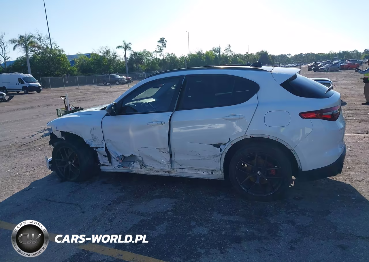 2020 Alfa Romeo Stelvio Rwd VIN:ZASPAJAN7L7C86315 - 15