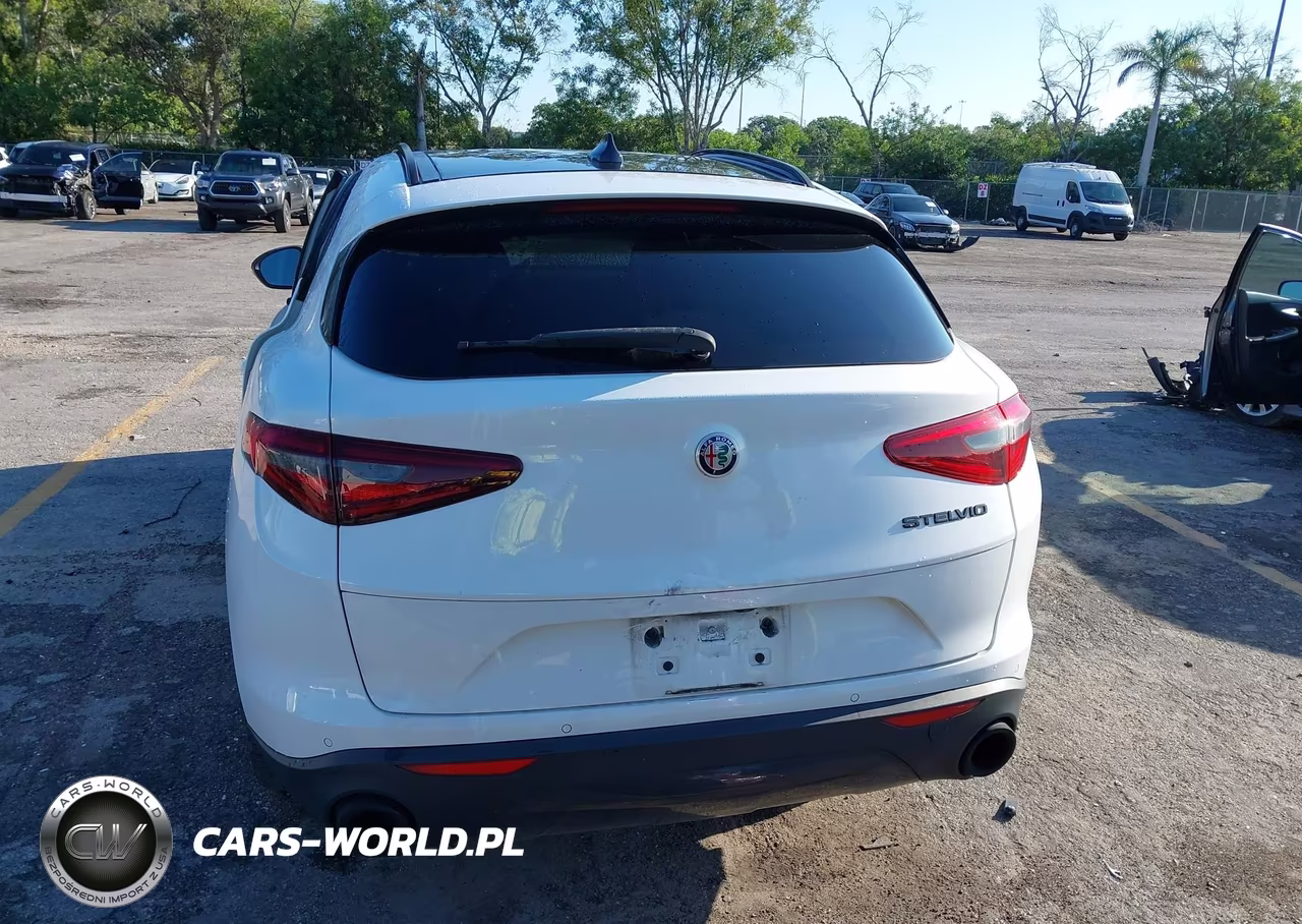 2020 Alfa Romeo Stelvio Rwd VIN:ZASPAJAN7L7C86315 - 17