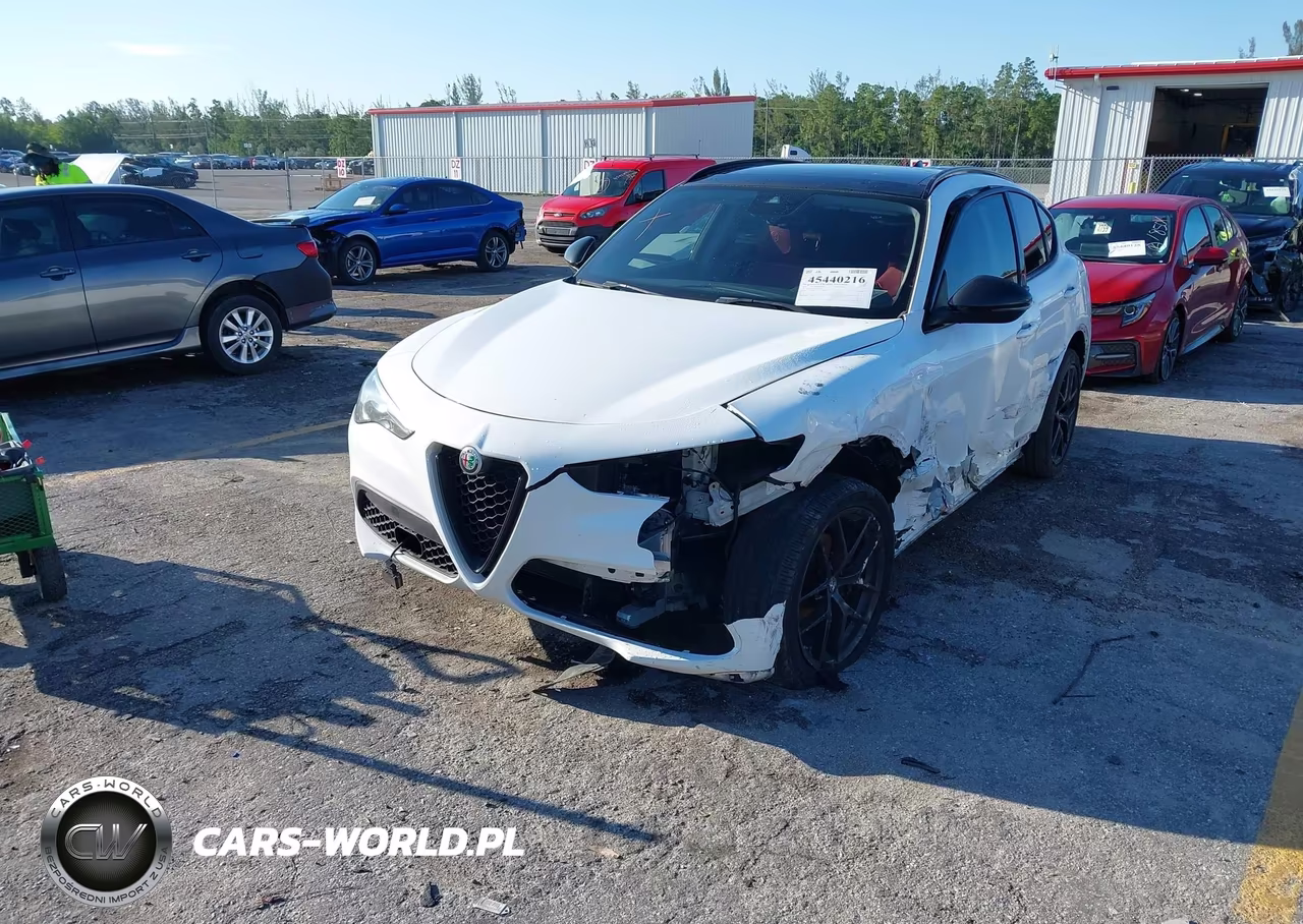2020 Alfa Romeo Stelvio Rwd VIN:ZASPAJAN7L7C86315 - 2