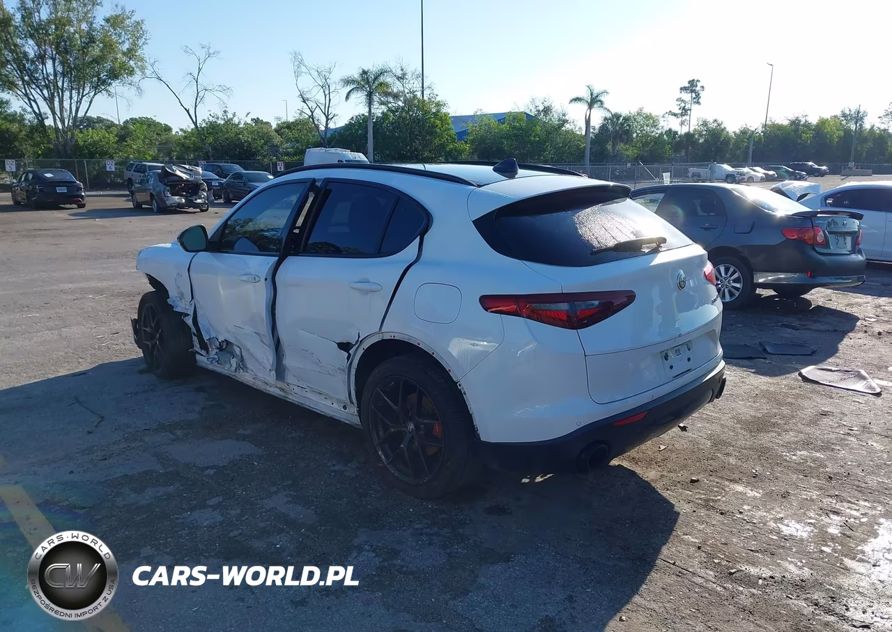 2020 Alfa Romeo Stelvio Rwd VIN:ZASPAJAN7L7C86315 - 3