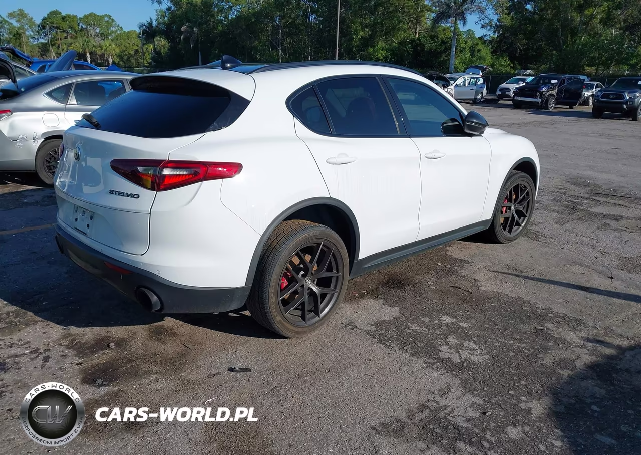 2020 Alfa Romeo Stelvio Rwd VIN:ZASPAJAN7L7C86315 - 4