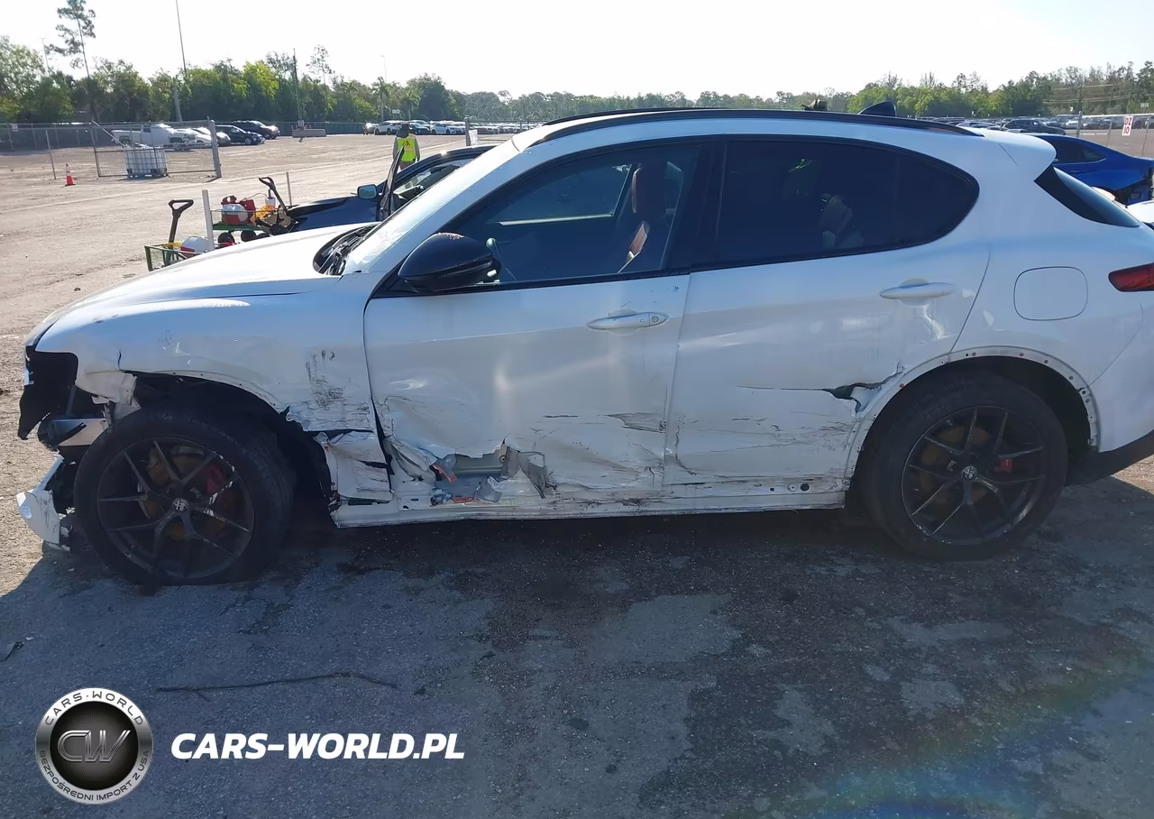 2020 Alfa Romeo Stelvio Rwd VIN:ZASPAJAN7L7C86315 - 6