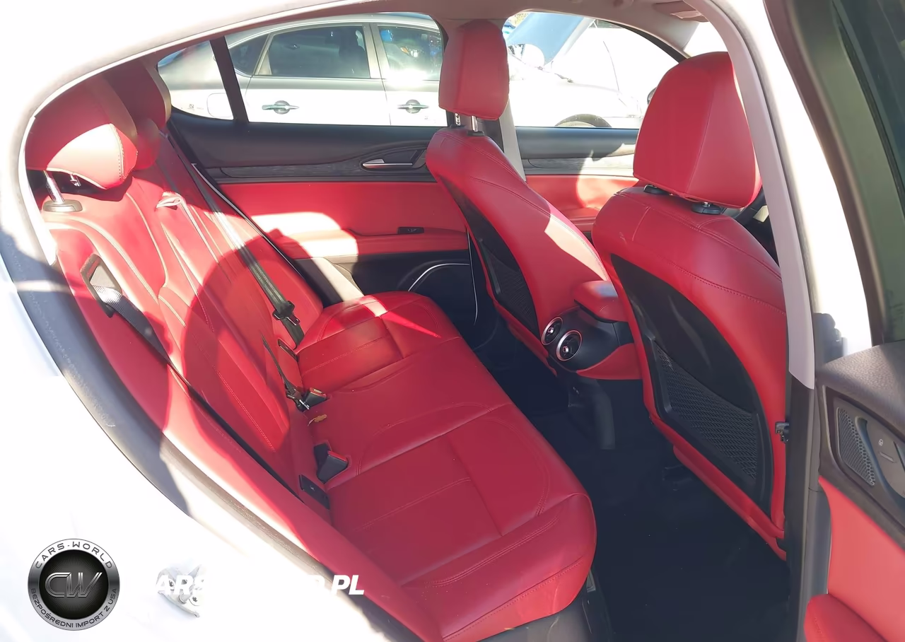 2020 Alfa Romeo Stelvio Rwd VIN:ZASPAJAN7L7C86315 - 8