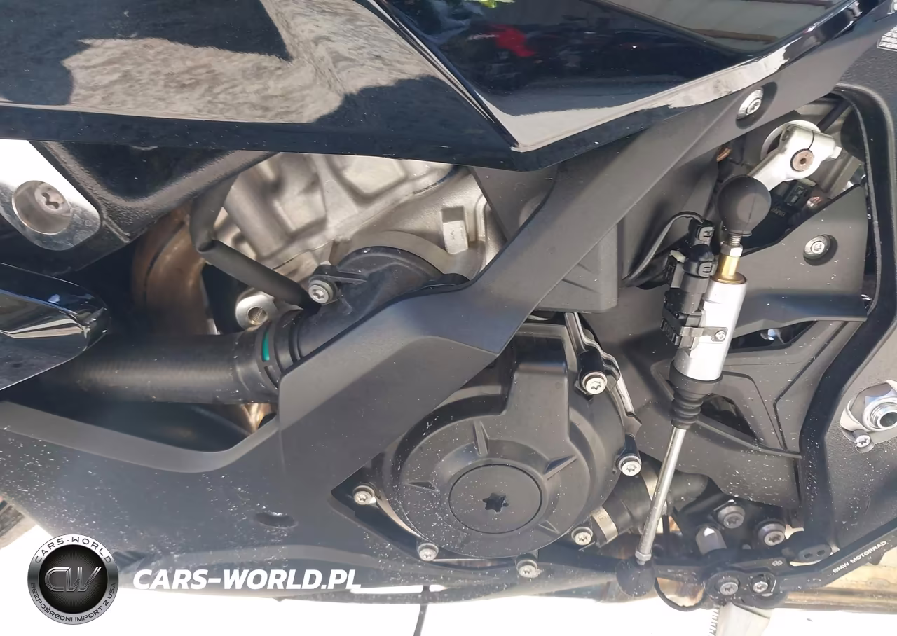 2026 BMW S 1000 Rr VIN:WB10P230XT6M59408 - 9