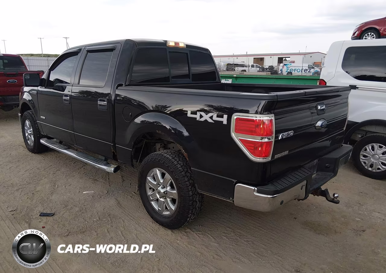 2013 Ford F-150 Fx4-King Ranch-Lariat-Limited-Platinum-Xl-Xlt VIN:1FTFW1ET3DKF85264 - 3