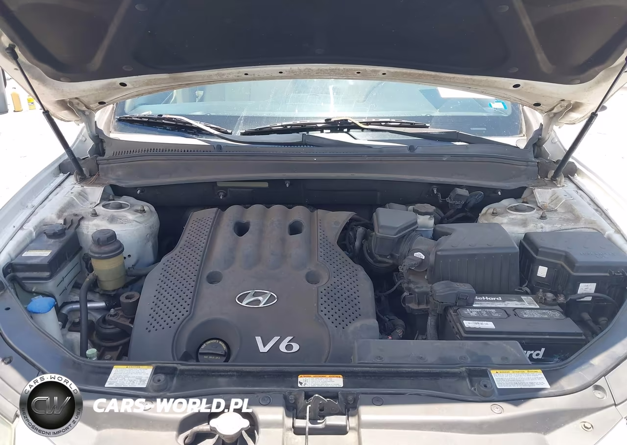 2007 Hyundai Santa Fe Gls VIN:5NMSG13D27H080713 - 10