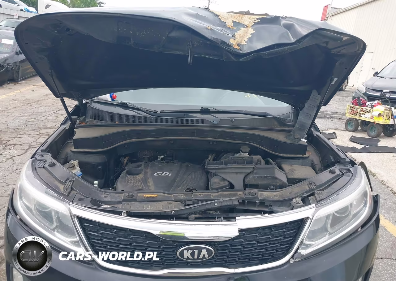2014 Kia Sorento Lx VIN:5XYKTCA65EG434212 - 10