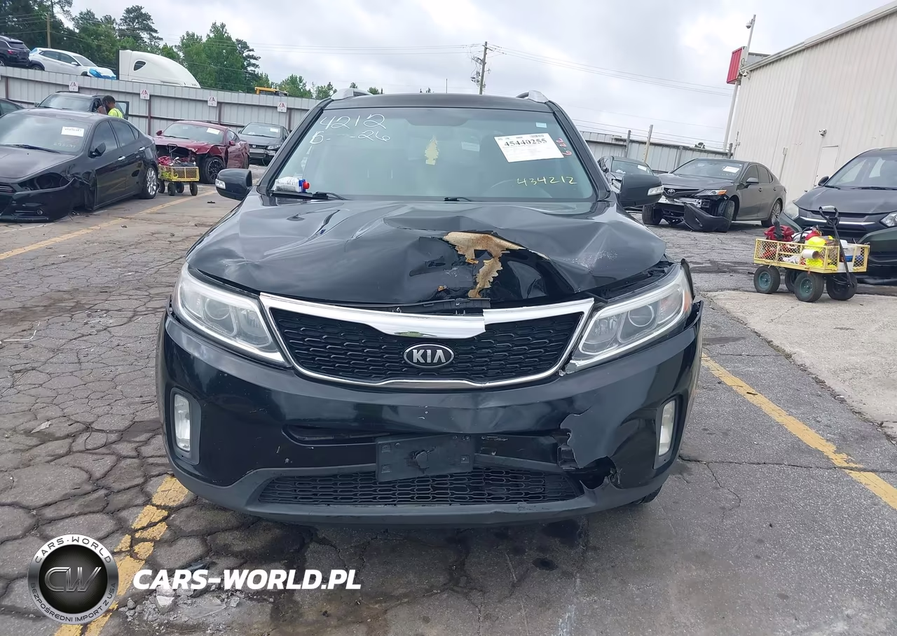 2014 Kia Sorento Lx VIN:5XYKTCA65EG434212 - 12