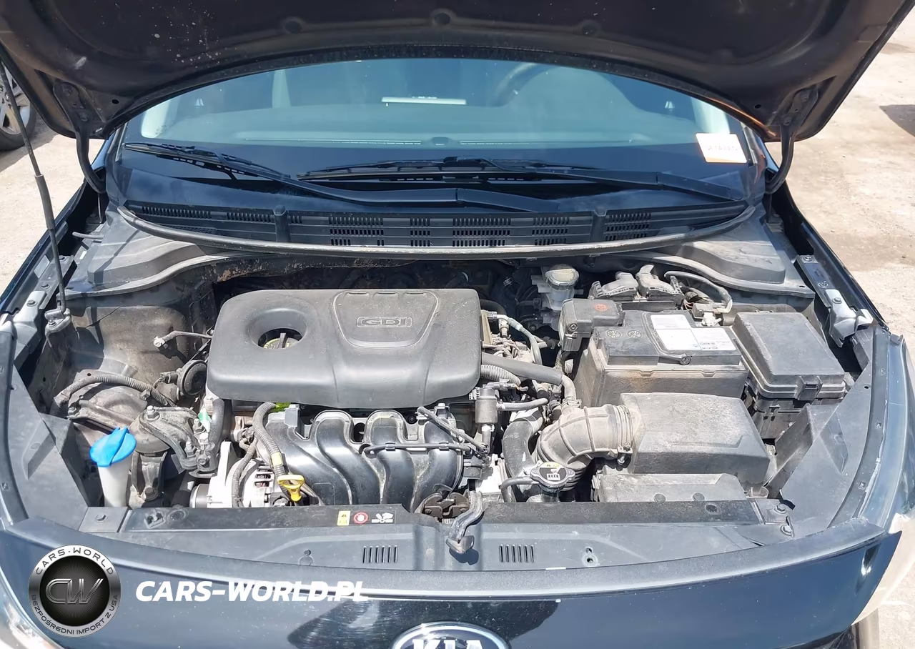 2019 Kia Rio 5-Door S VIN:3KPA25AB1KE177338 - 10