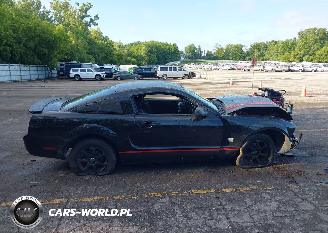 2007 Ford Mustang V6 Deluxe-V6 Premium VIN:1ZVFT80N775208267 - 14