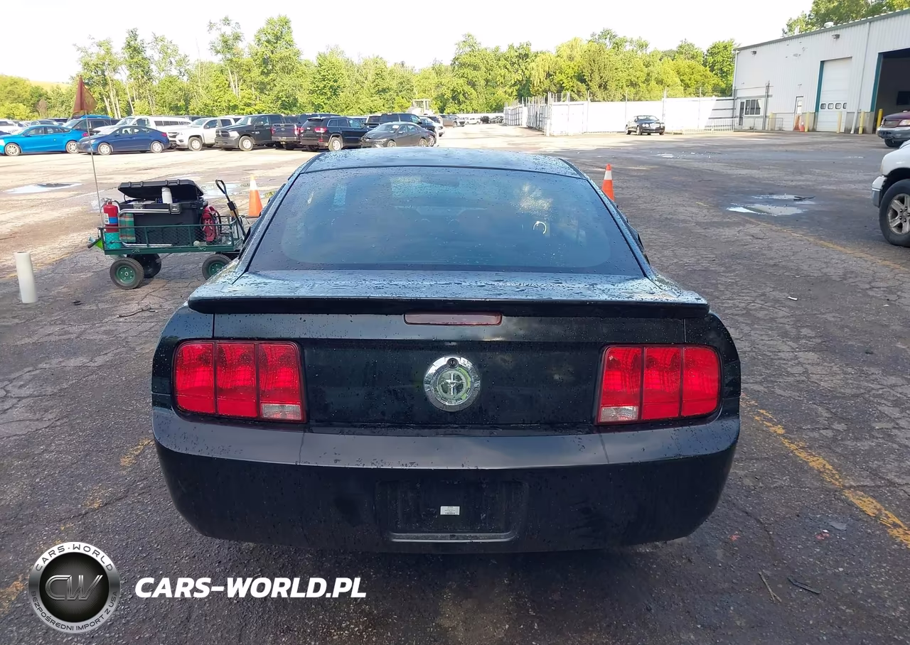 2007 Ford Mustang V6 Deluxe-V6 Premium VIN:1ZVFT80N775208267 - 17