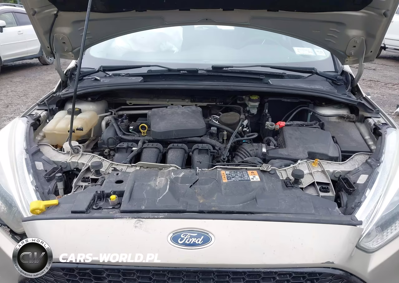 2015 Ford Focus Se VIN:1FADP3K25FL310543 - 10
