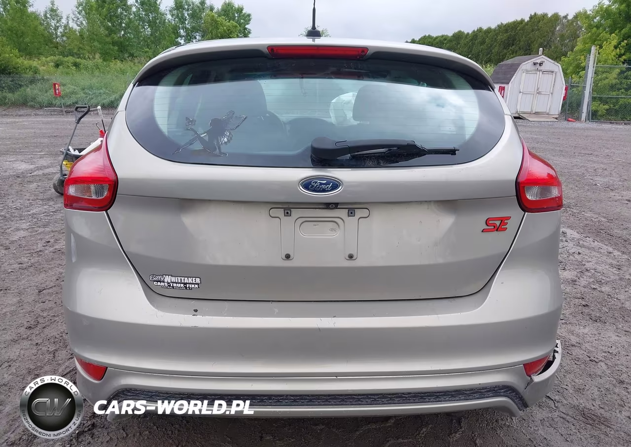 2015 Ford Focus Se VIN:1FADP3K25FL310543 - 17