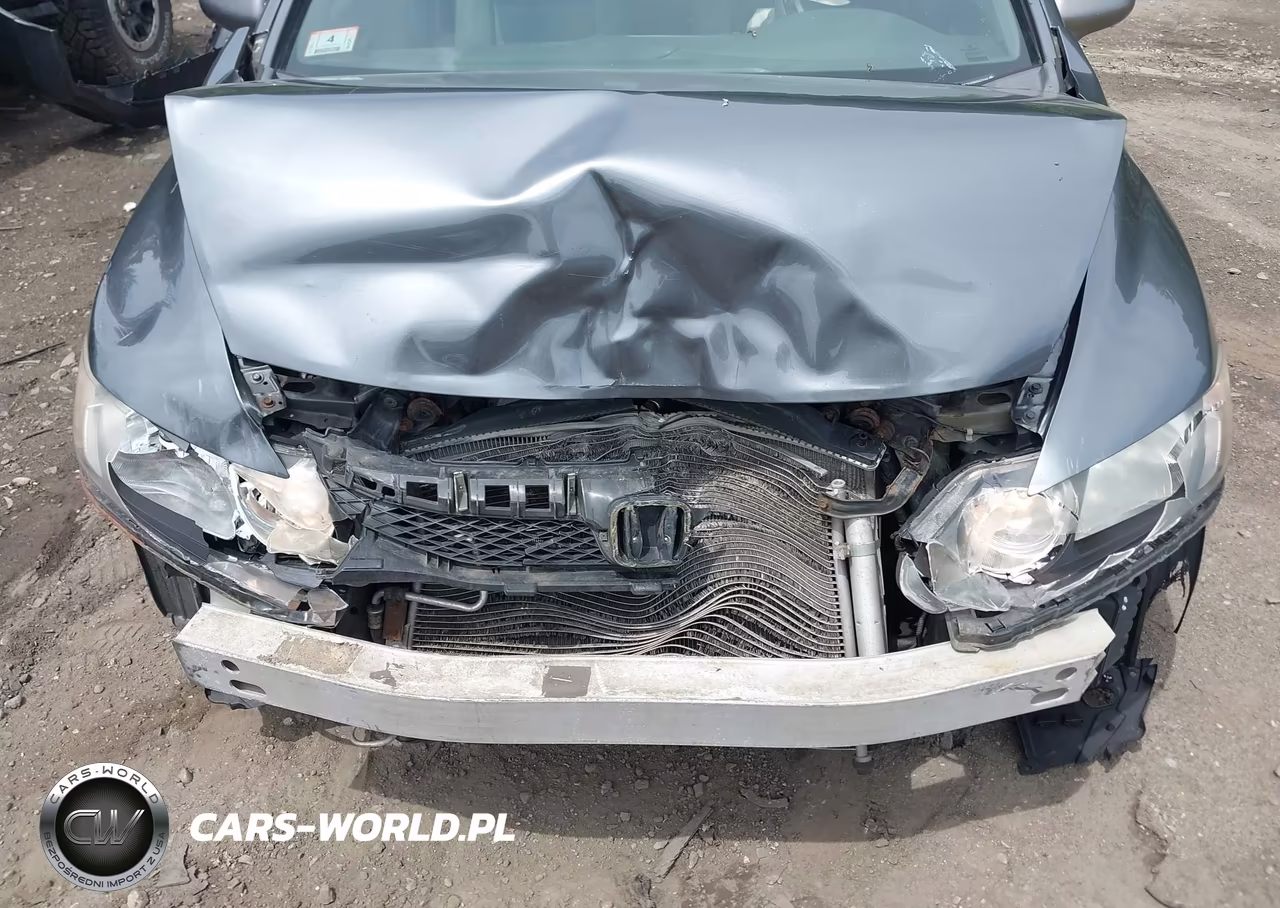 2010 Honda Civic Lx VIN:2HGFA1F59AH552899 - 6