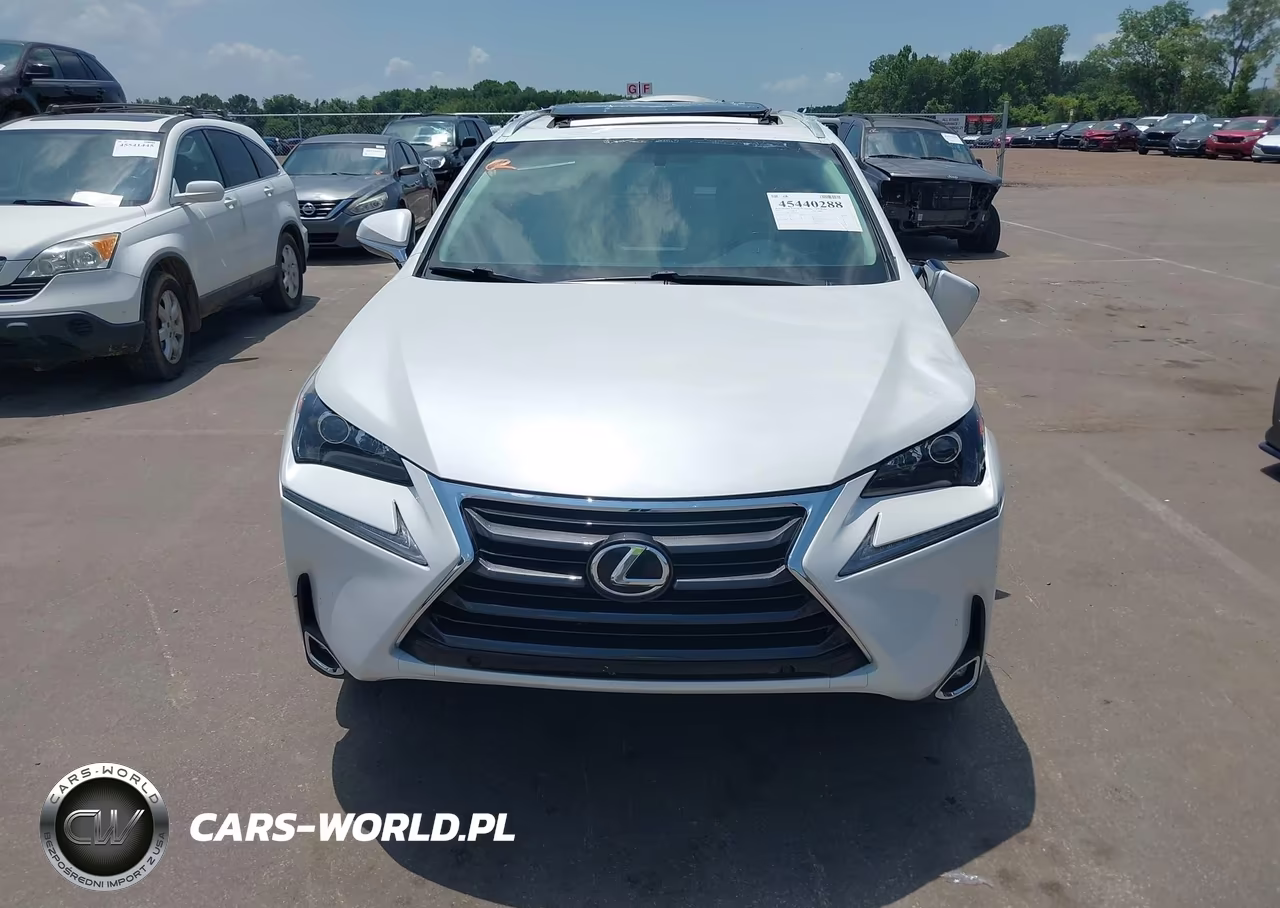 2015 Lexus Nx 200T VIN:JTJYARBZ4F2010640 - 12