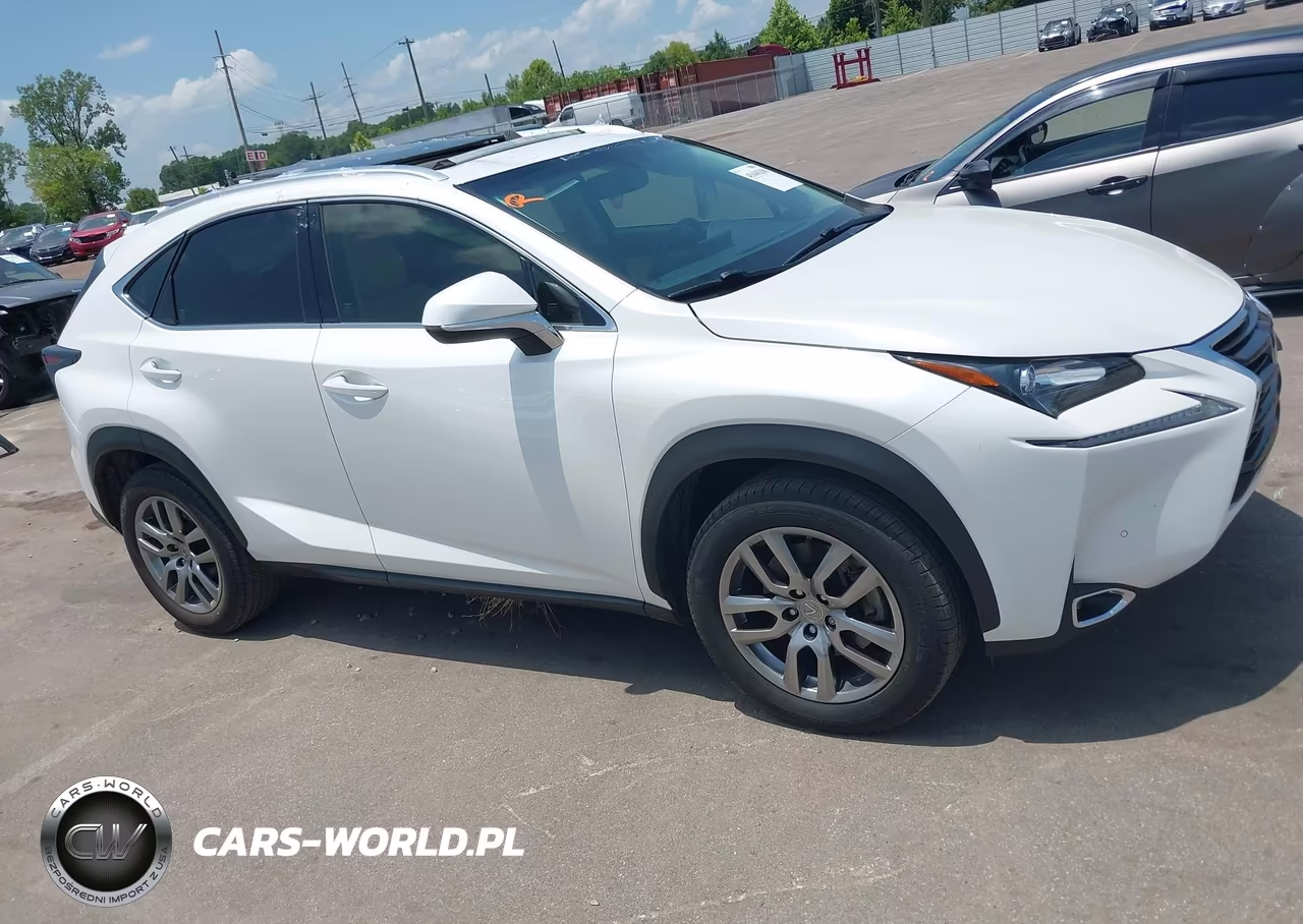 2015 Lexus Nx 200T VIN:JTJYARBZ4F2010640 - 13