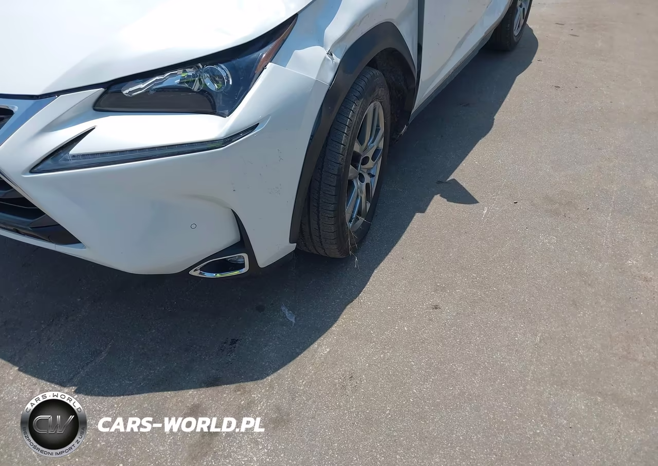 2015 Lexus Nx 200T VIN:JTJYARBZ4F2010640 - 18
