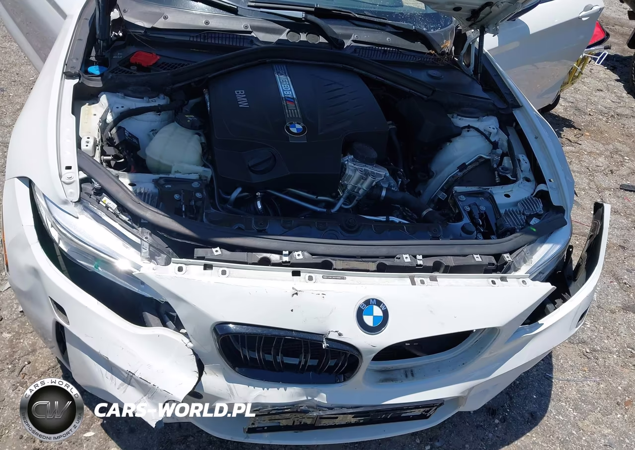 2017 BMW M2 VIN:WBS1H9C36HV888171 - 10