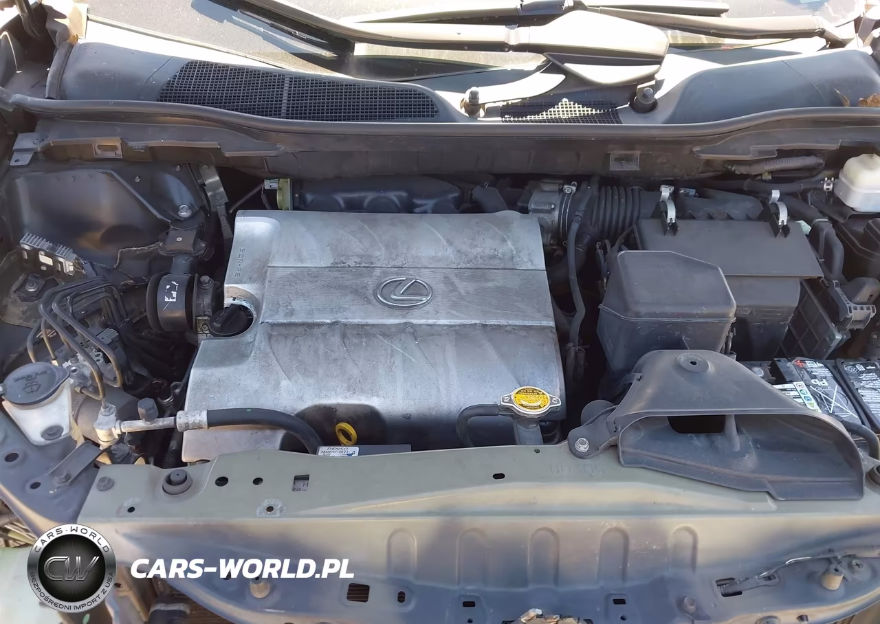 2010 Lexus Rx 350 VIN:2T2BK1BA8AC001219 - 10