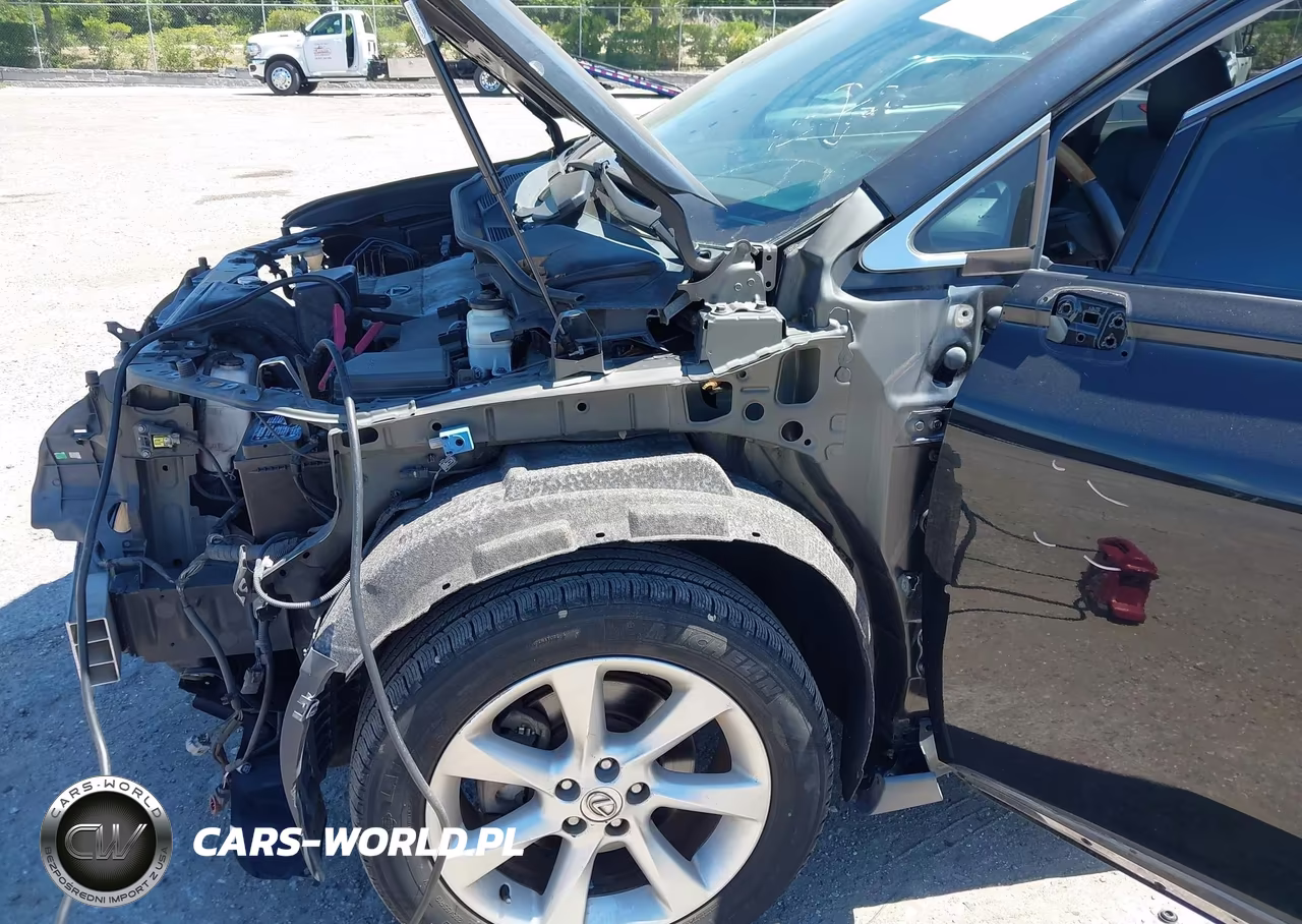 2010 Lexus Rx 350 VIN:2T2BK1BA8AC001219 - 6