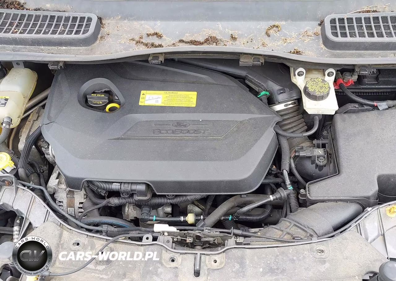 2013 Ford Escape Se VIN:1FMCU0GX7DUA39733 - 10