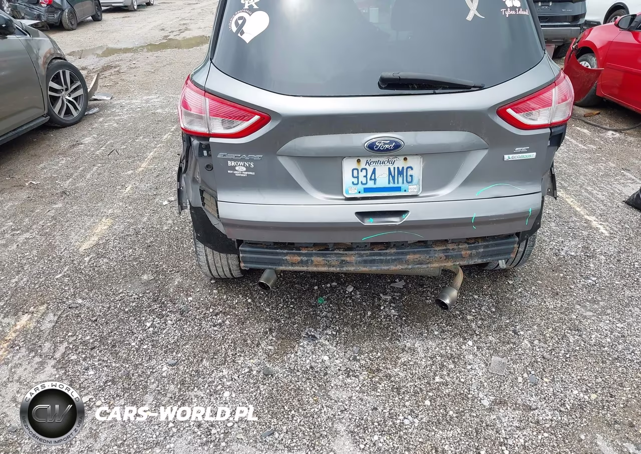 2013 Ford Escape Se VIN:1FMCU0GX7DUA39733 - 13