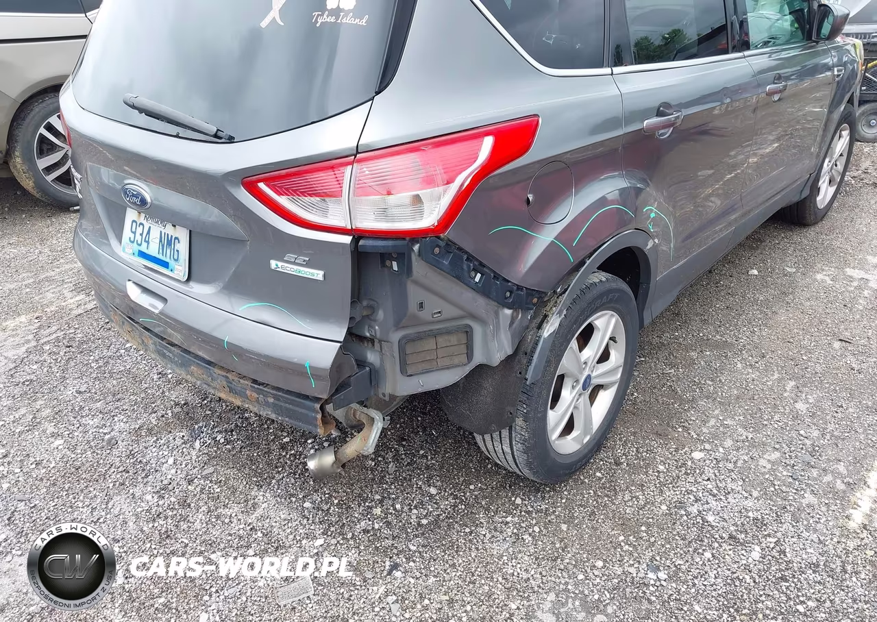 2013 Ford Escape Se VIN:1FMCU0GX7DUA39733 - 14