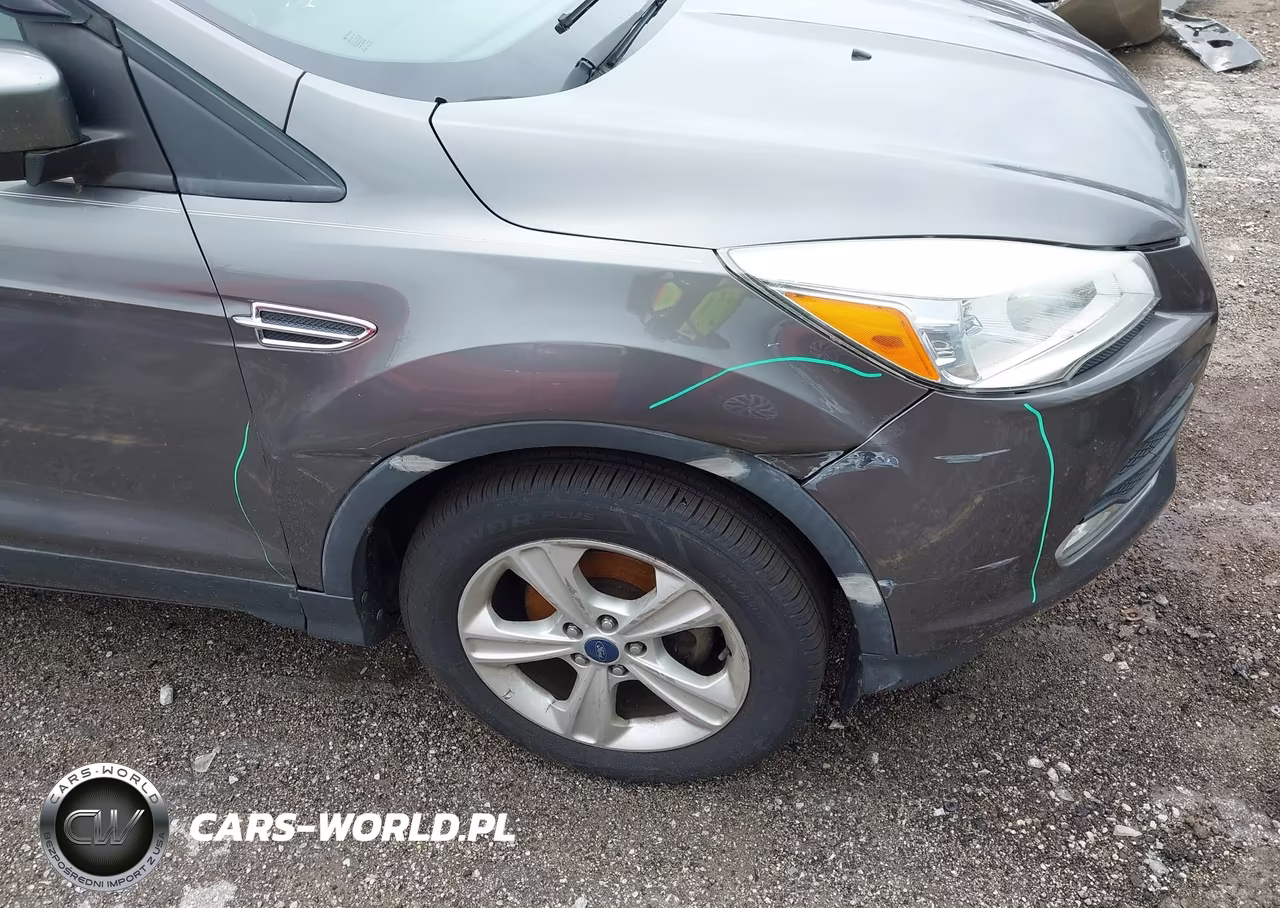 2013 Ford Escape Se VIN:1FMCU0GX7DUA39733 - 16