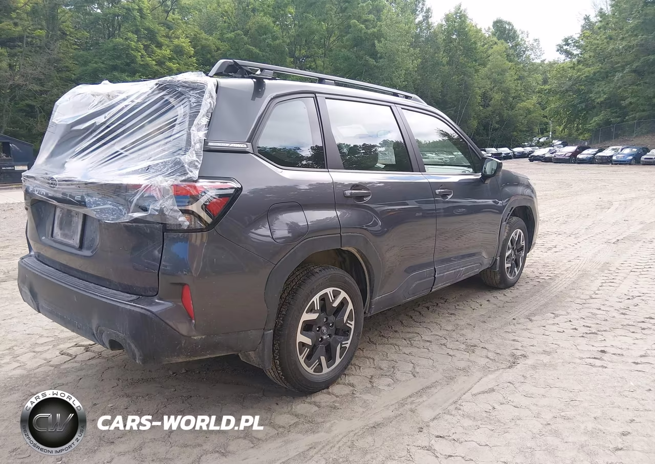 2025 Subaru Forester VIN:JF2SLDAC5SH533953 - 4