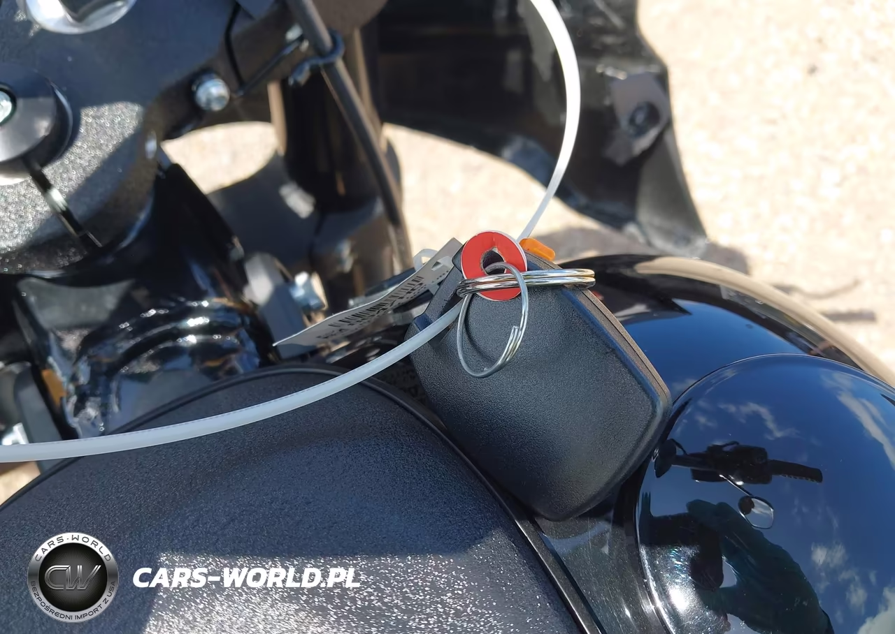 2025 Harley-Davidson Fxlrst VIN:1HD1YXA16SB040666 - 11