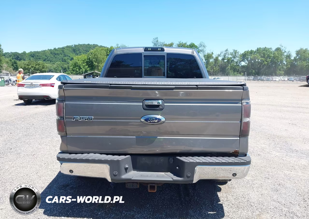 2012 Ford F-150 Xlt VIN:1FTFW1EF6CFA80255 - 17
