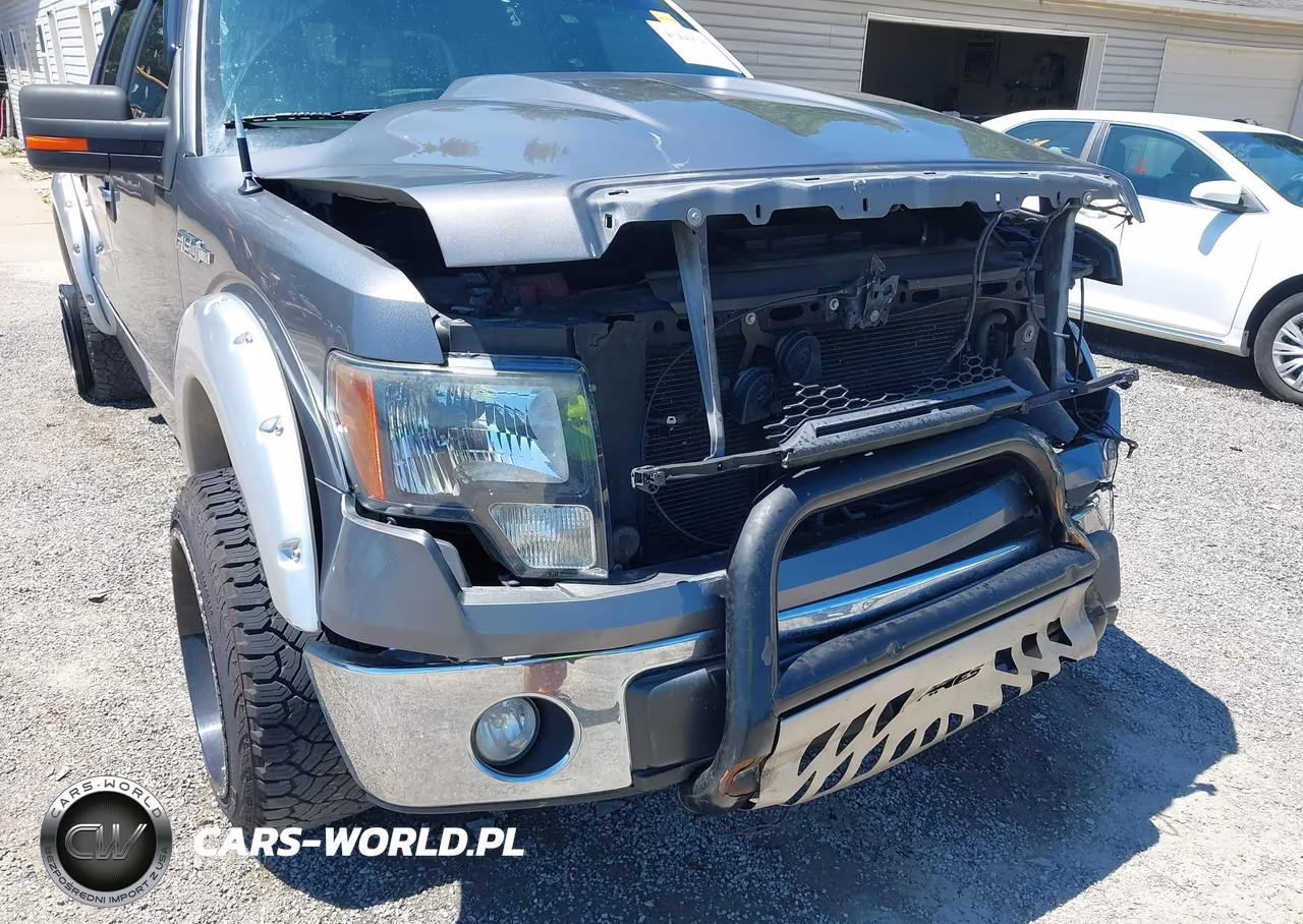 2012 Ford F-150 Xlt VIN:1FTFW1EF6CFA80255 - 18