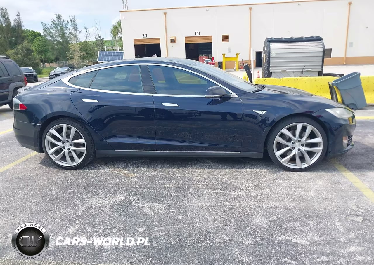2013 Tesla Model S Performance VIN:5YJSA1DP9DFP10833 - 13