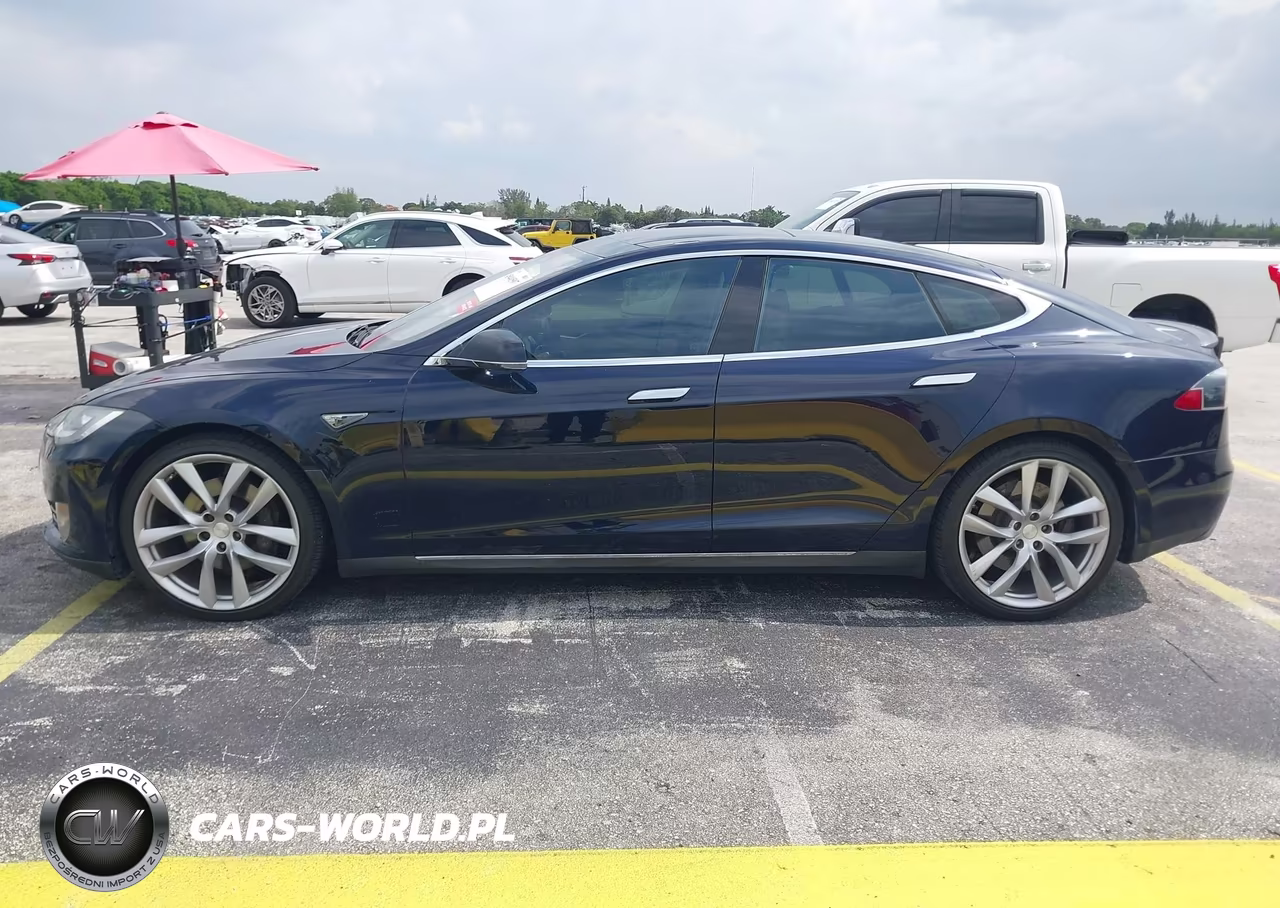2013 Tesla Model S Performance VIN:5YJSA1DP9DFP10833 - 14
