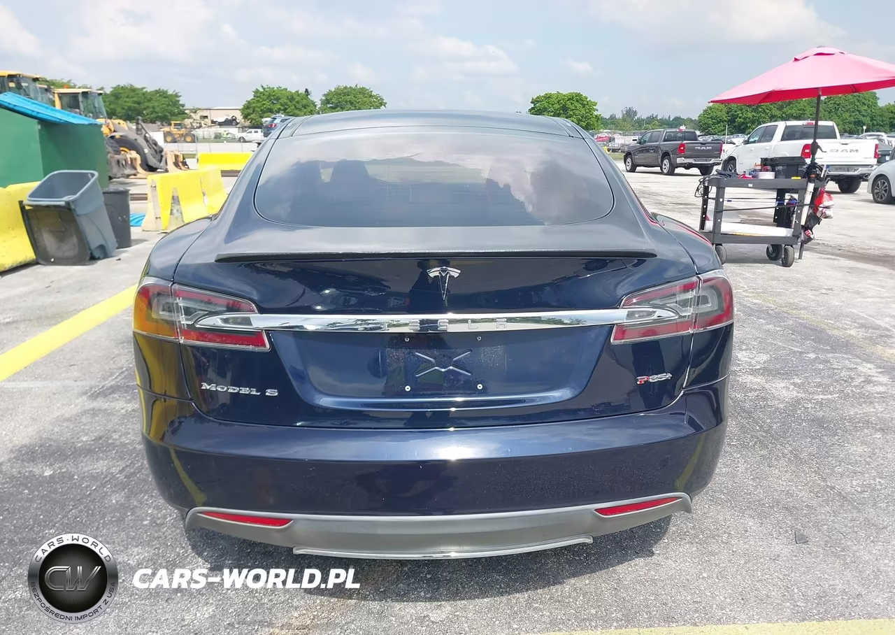 2013 Tesla Model S Performance VIN:5YJSA1DP9DFP10833 - 16