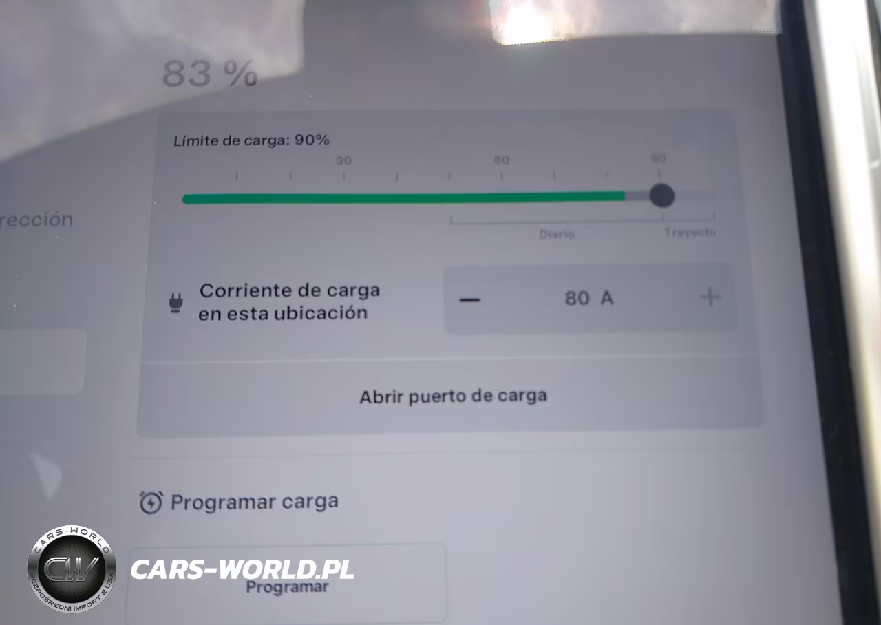 2013 Tesla Model S Performance VIN:5YJSA1DP9DFP10833 - 17