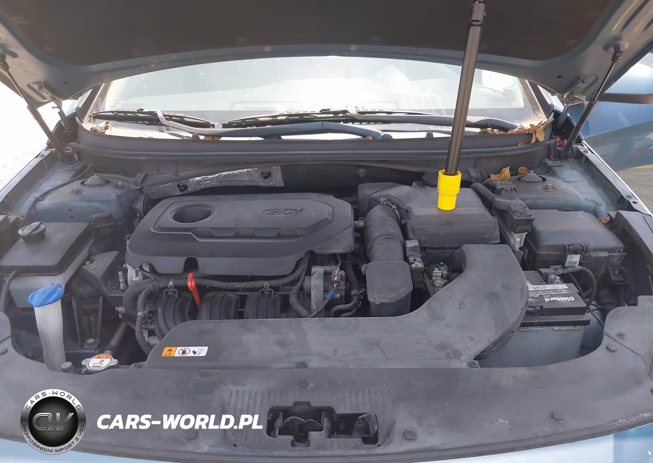 2017 Hyundai Sonata Se VIN:5NPE24AF0HH505061 - 10