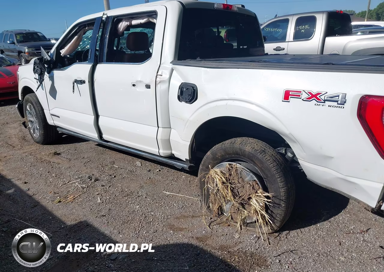 2021 Ford F-150 King Ranch-Lariat-Limited-Platinum-Xl-Xlt VIN:1FTFW1ED9MFA88737 - 12