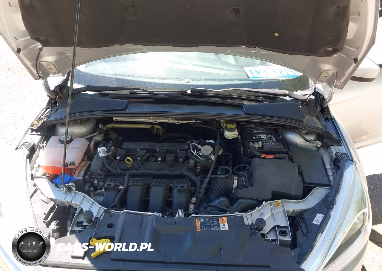 2018 Ford Focus Se VIN:1FADP3K23JL206979 - 10